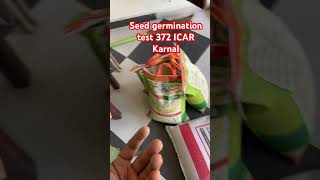 372 seed germination test 13 seed planted ICAR karnal [upl. by Kcajyllib]