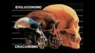 EVOLUCIONISMO E CRIACIONISMO  HISTÓRIA EM MINUTOS [upl. by Ahsatan]