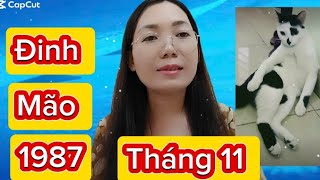 tuoi Đinh Mão SN 1987 Tháng 11 ÂL năm 2024 Nam Nữ [upl. by Anette]