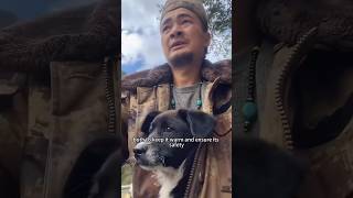 The Dog on the Journey shortsvideo amimals [upl. by Gun203]