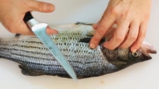 How to Fillet Raw Fish [upl. by Acirrehs395]