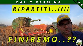 POSTALLUVIONE SI RIPARTE   CAMPAGNA INFINITA  DAILY FARMING EP 28 [upl. by Iramat]