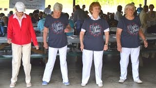 Office for the Aging Senior Picnic at Boyce Park in Wingdale [upl. by Tterej706]