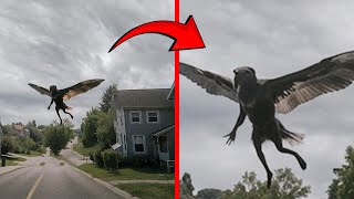 Man Captured A Strange Creature Falling From the Sky [upl. by Adler]