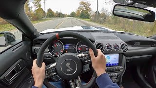 2020 Ford Mustang Shelby GT350R Heritage Edition  POV Test Drive Binaural Audio [upl. by Kacy]