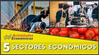 Los 5 sectores económicos Economía Ejemplos y características [upl. by Adyahs]