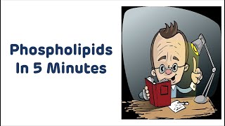 Phospholipids In 5 Minutes  Biochemistry Rapid Revision Series  Phospholipids [upl. by Trebliw]