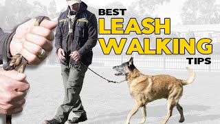 The Best Leash Walking Tips [upl. by Rance]