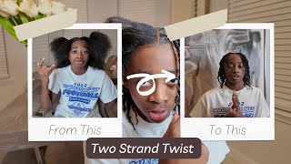 Easy Two Strand Twist [upl. by Mccormick]