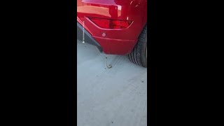 Redback Spider Catches Eastern Brown Snake in Its Web [upl. by Aenaj]