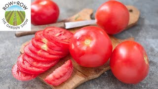 DO HYBRID TOMATOES TASTE BETTER THAN HEIRLOOMS [upl. by Krenn]