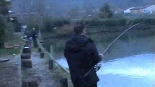 pesca allo storione di oltre 35 kg lago di bagnolo [upl. by Aikemaj]