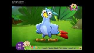 toyor al janah 2014 babagha طيور الجنة الببغاء [upl. by Assylem]