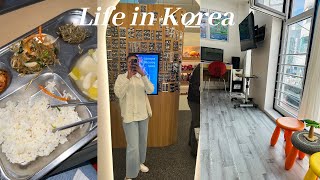 A day in my life as an English teacher in South Korea  Foreigner in Korea  Daily life [upl. by Ilam463]