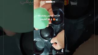 Mirabelle صناعة الصابون الطبيعي على الطريقة الباردة soap صابونطبيعي [upl. by Socin]