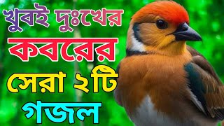 খুবই দুঃখের কবরের সেরা ২টি গজল। গজল 2024 নতুন ghazal ringtone bangla gazal notun ghazal Gojol [upl. by Nabalas]