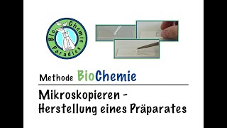 Methode BioChemie – Mikroskopie – Herstellung eines Präparates am Beispiel der Zwiebel [upl. by Aicel596]