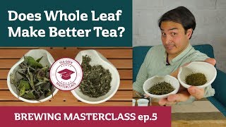 Does Whole Leaf Make Better Tea  BREWING MASTERCLASS [upl. by Linneman469]