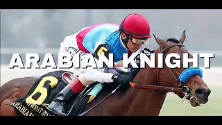 Arabian Knight 2023 Breeders Cup Bob Baffert is Back [upl. by Alrahs20]