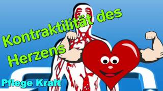 Die Kontraktilität des Herzens [upl. by Esiouqrut458]