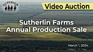 Sutherlin Farms Red Angus Annual Production Sale [upl. by Sanders536]