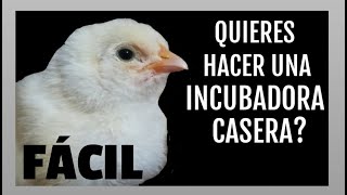 Cómo hacer una incubadora casera fácil [upl. by Patt]