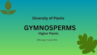 Gymnosperms Phenerogams Higher Plants  details  BS BOTANY Bs level [upl. by Candie649]