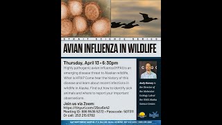 Avian Influenza in Wildlife  Strait Science Apr 13 2023 [upl. by Brocky]