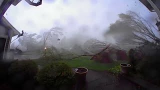 Every tree in this Michigan yard came down during tornado conditions [upl. by Nichole]