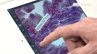 Video Interview ZEISS Labscope Imaging App [upl. by Rubi]