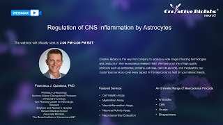 Webinar Regulation of CNS Inflammation by Astrocytes [upl. by Anelram]