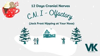 12 Days of Cranial Nerves Seasonal Songs amp Neurology [upl. by Iniffit]