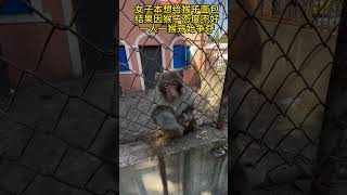 女子本想给猴子面包，不料一人一猴发生争夺萌宠 funny [upl. by Knipe]