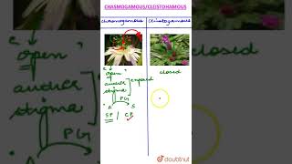 Chasmogamous vs Cleistogamous flowers [upl. by Burdelle676]