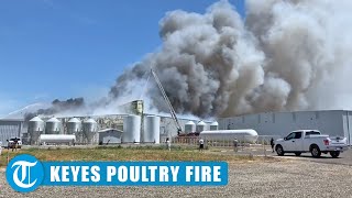 Keyes Poultry Fire At Gemperle Farms Facility [upl. by Aicilehp]