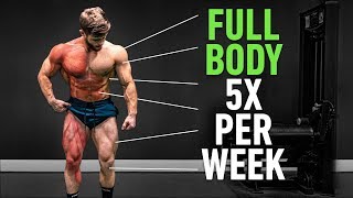 Full Body 5x Per Week Why High Frequency Training Is So Effective [upl. by Dodge]