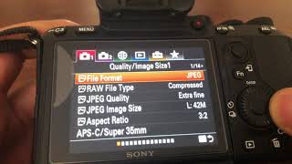 Sony A7riii A7iii A7rii a7ii A7sii  FACTORY SETTINGS RESET  HOW TO [upl. by Johan]