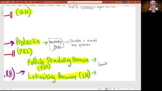 Biology 2020 Chapter 17 The Endocrine System Adenohypophysis Tropic Hormones video 6 [upl. by Albert]