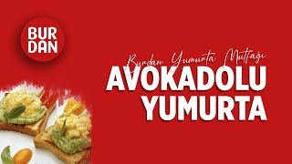 Avokadolu Yumurta Nasıl Yapılır  Burdan Yumurta Mutfağı [upl. by Aerbma]