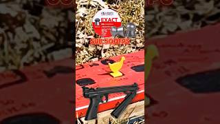 This CHICKEN can fly  Crosman 1377 495fps Vs Air Venturi Chicken silhouette target Plinking [upl. by Tamas953]