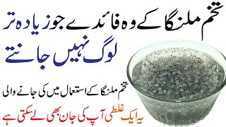 Tukh Malanga ke Fawaid  Tukh Malanga ke Fayde or Istemal ka Tarika  Basil Seeds [upl. by Aranaj]