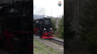 Dampflok HSB  Bergfahrt zum Brocken eisenbahn Dampflok HSB [upl. by Lleryd]