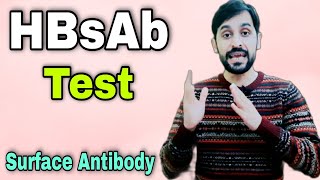 HBsAb Test  What Does HBsAb Positive Mean [upl. by Llehcsreh]