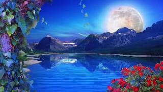 Nature Background Loop  Free Background  HD  60 fps [upl. by Lamarre]