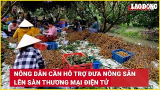 Nông dân cần hỗ trợ đưa nông sản lên sàn thương mại điện tử  Báo Lao Động [upl. by Trimmer985]