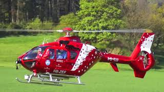 Gigantic RC Eurcopter EC135 Scale Turbine RC Model Helicopter [upl. by Jermyn]