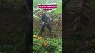 நீளமான மண்வெட்டி விளக்கம் முனைவர் முத்துகிருஷ்ணன் vedaranyam agriculture story [upl. by Zantos]