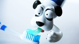 Dog BARF Toothpaste  LÜT 31 [upl. by Eniarol]