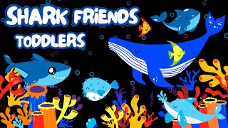 Baby Shark  Baby Sensory  Friends Toddlers [upl. by Anived26]