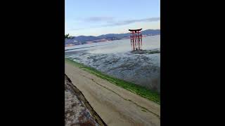 Early Morning ItsukushimaMiyajima Island and Mount Misen Observatory [upl. by Kunin]